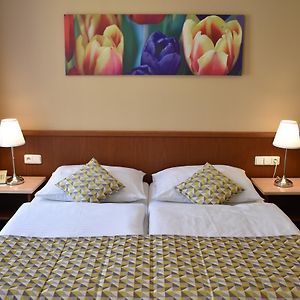 Suite mit 1 Schlafzimmer